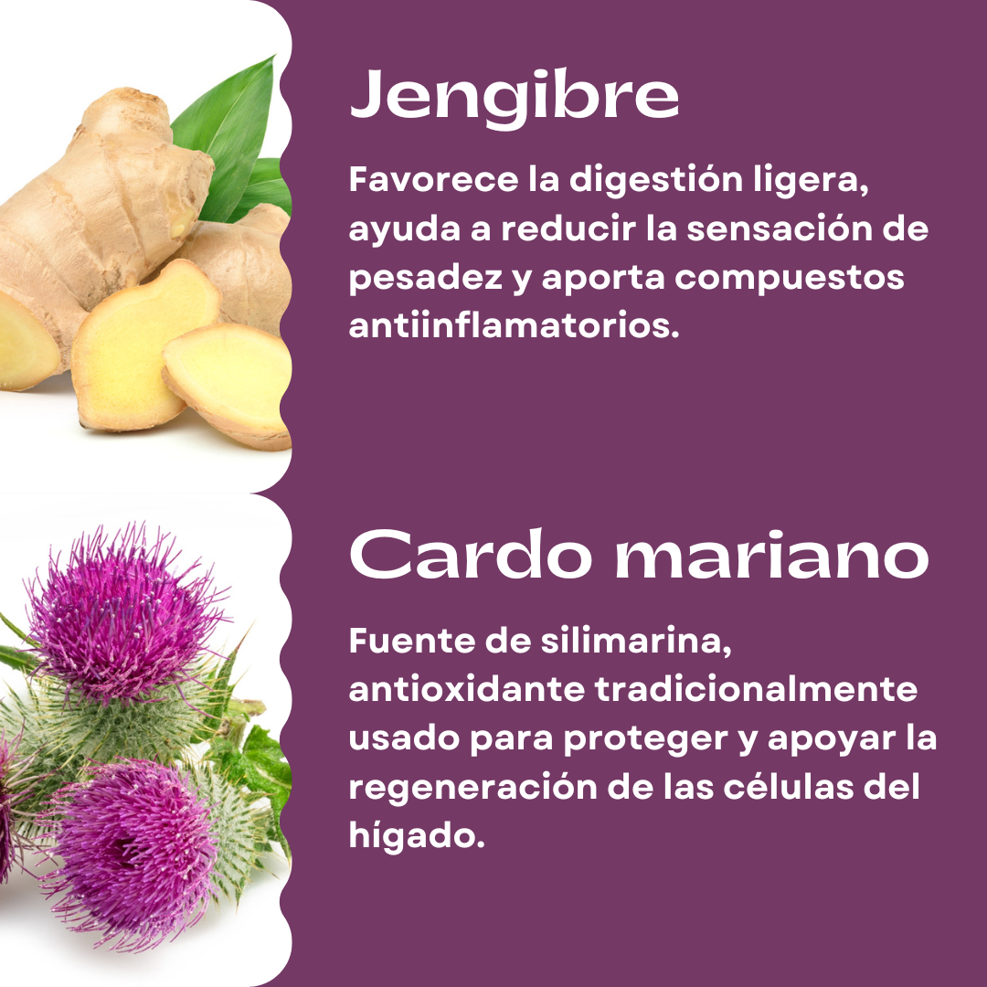HIGADO RENOVADO Vitamina para el hígado