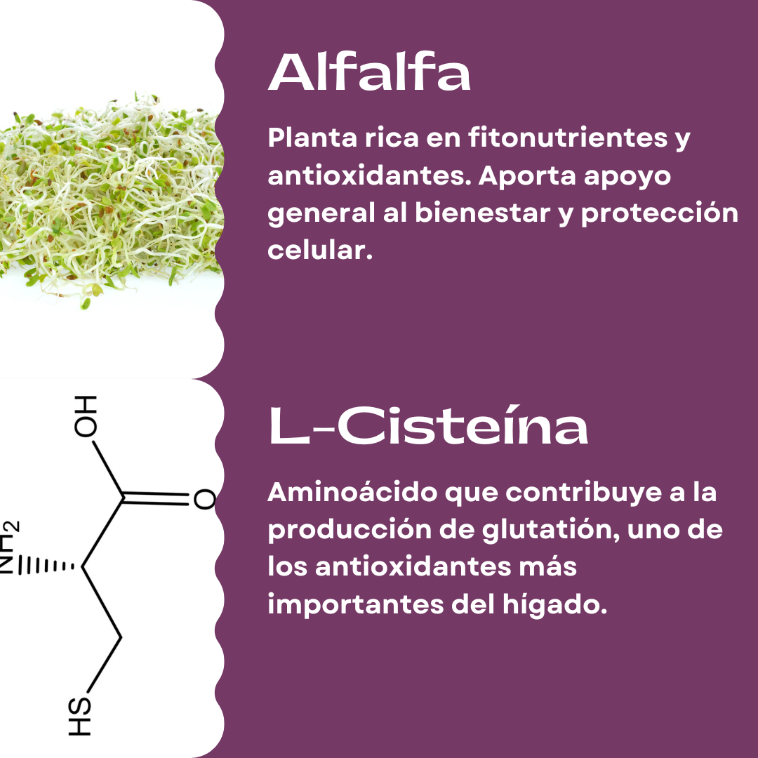 HIGADO RENOVADO Vitamina para el hígado