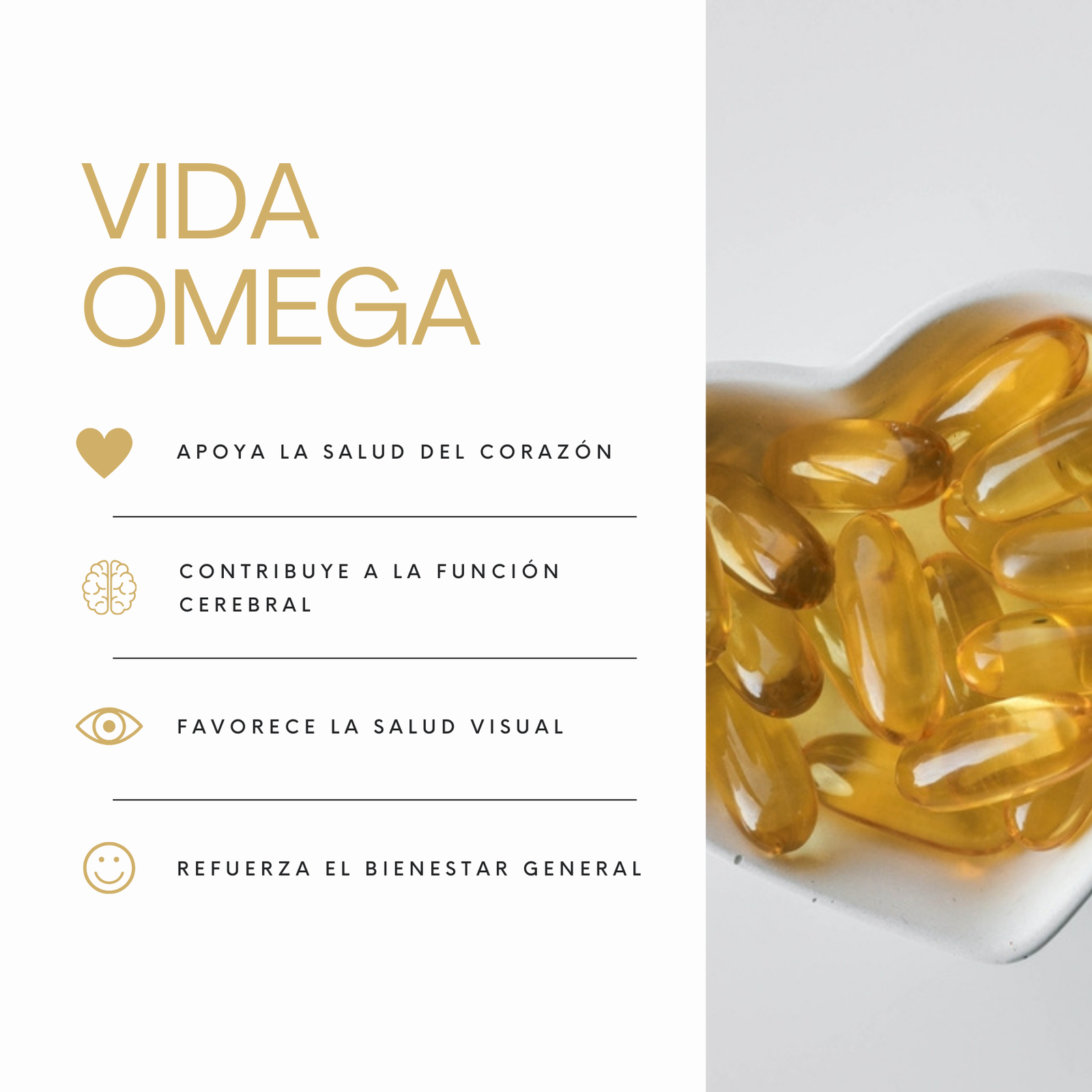 Vida Omega