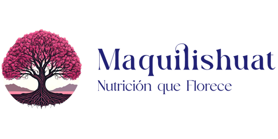 Navigate back to Maquilishuat homepage